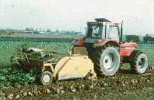 Fotografie: Erntetechnik, Zuckerrübe, Zweiphasiges Ernteverfahren, Rückfahreinrichtung