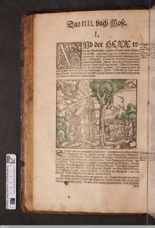 Das IV. Buch Mose