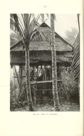 Fig. 84. Haus in Tamúngku