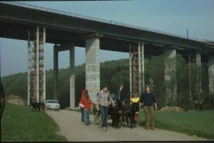 Sulzbachviadukt, Neubau 1981-1984, Gesamtansicht alte Brücke und erste Hälfte der neuen Brücke