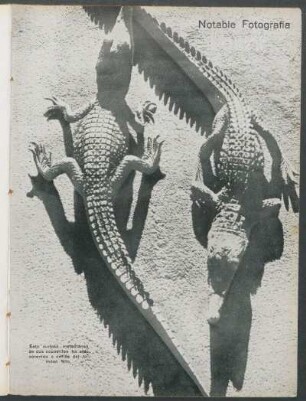 Notable fotografía