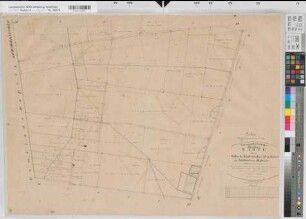 Halverde (Hopsten), Schale (Hopsten), Teilung der Schale-Halverder Mark, Brouillonkarte Bl.16