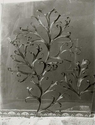 Rittersporn, (Delphinium sp.), getrocknetes Blatt