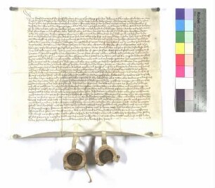 Gräflich Kirchbergischer Verzicht auf Hälfte der Mähder zu Unterkirchberg zu Gunsten von Kloster Wiblingen