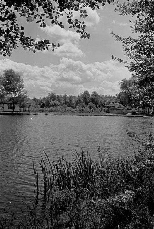 Sommertag am Fritschlach-Baggersee bei Daxlanden.