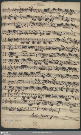 Violino. [Solo]