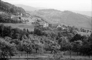 Sasbachwalden: Höfe im Tal