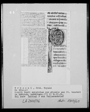 Ms 9200-01, Sancti Pauli epistolae cum glossis, fol. 208v: Initiale P zum Philemonbrief