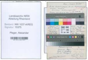 Entnazifizierung Alexander Pleger , geb. 20.07.1900 ()