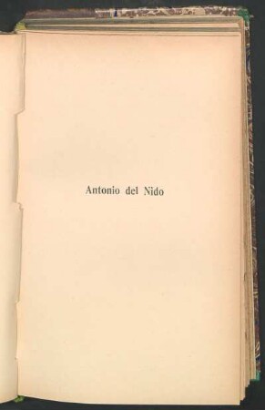 Antonio del Nido