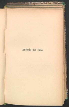 Antonio del Nido