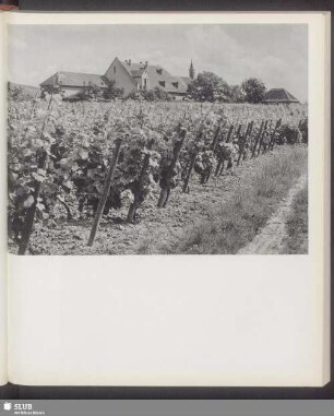 Am Fuße des Schlossberges