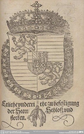 Etliche underricht/ zu befestigung der Stett/ Schlosz und flecken.