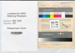 Entnazifizierung Erwin Wassermann, geb. 12.09.1903 (Bauingenieur)