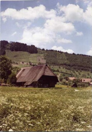 Der Vogtsbauernhof in Gutach