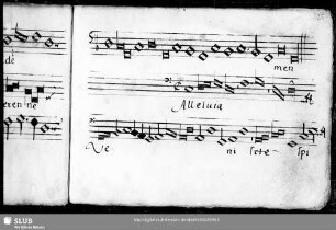 Anonymus: Alleluia