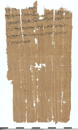 Deklaration von Kleinvieh