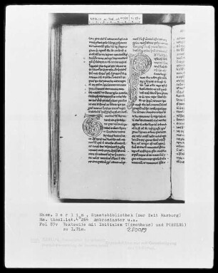 Ambrosius, Commentarii in epistulas Pauli und anderes — Initiale P (aulus), Folio 87 verso