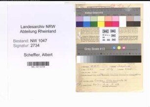 Entnazifizierung Albert Scheffler , geb. 20.08.1901 (Zollsekretaer)