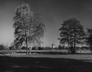 Archivfotografie "emsland_verschiedenes_14162"