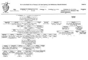 Tafel I. Die von dem Bussche bis zur Trennung in die Linien Ippenburg, Lohe-Haddenhausen, Hünnefeld-Streithorst.