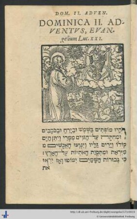 Dominica II. Adventus, Evangelium Luc. XXI.