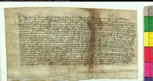 Rentenverkauf des Anton von Bernynckhusen an das Kloster Liesborn aus der zum Hof zu Bettinghausen gehörigen Hufe zu Uchtorpe.