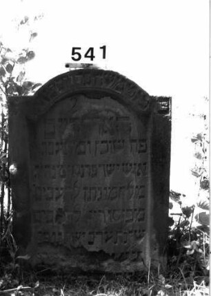 Grabstein 541