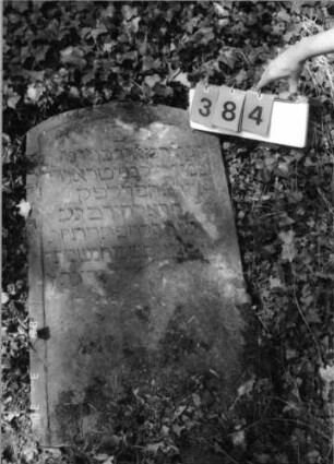 Grabstein 384 (Index: 99792088) Material: Sandstein Zustand: leicht verwittert, Stele liegend Maße HxBxT: 95x55x10 cm Beschreibung: Stele, Segmentbogenabschluß, Schriftfeld eingetieft: Grabstein 384