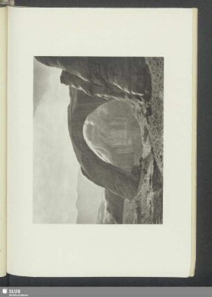 In der Wildnis IV