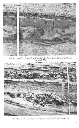 Abb. 16. Verbrodelte Feinsande und Schluffe: Anzeichen für ein kaltzeitliches Klima (Aufschluß 81 a) Abb. 17. Schmelzwassersande mit kugeligen Schluffgeröllen (Aufschluß 81 a)