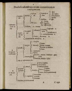Diathesis adumbrans rerum connexionem & consequentiam.
