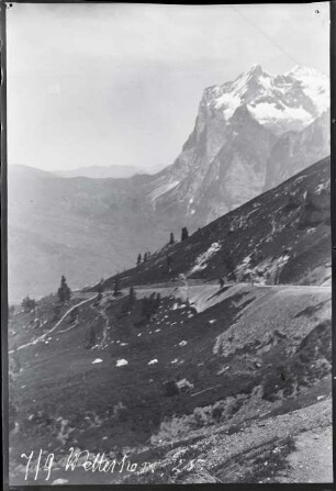 Blick auf das Wetterhorn, von der Kleinen Scheidegg aus
