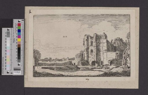 [Ruine von Burg Brederode]