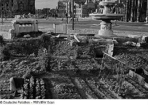Berlin. Gemüsebeete an der zerstörten südlichen Springbrunnenanlage am Hindenburgplatz (mit unterirdischem Zugang)