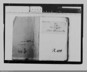 Wetterauer Reichsritterschaft ./. Nassau-Dillenburg und Sayn: Privilegien und Exemtionen der Reichsritterschaft