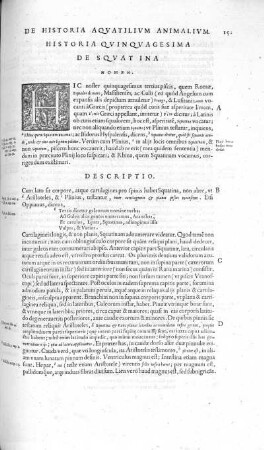 Historia Quinquagesima. De Squatina