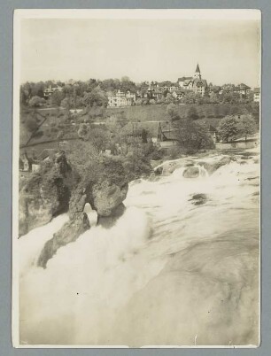 Am Rheinfall bei Schaffhausen