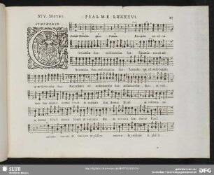 XIV. Cantate Domino canticum novum