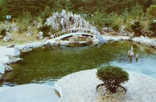 Parklandschaft mit Teich und kleiner Brücke