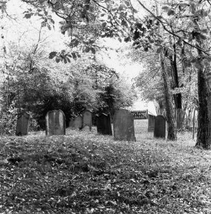 Jüdischer Friedhof; Butzbach, Trieb