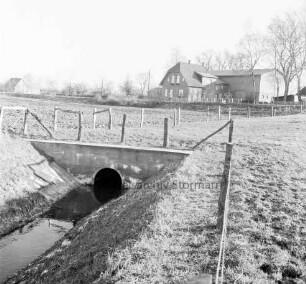 Viehbach: Regulierung: vorn Öffnung des unterirdischen Teilstücks: dahinter und rechts Zäune: hinten Weiden: im Hintergrund Bauerngehöft
