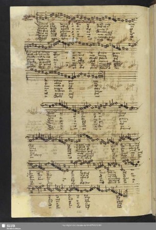 [Fulda, Adam von:] Nuntius celso