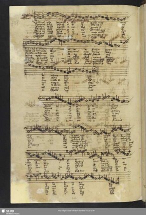 [Fulda, Adam von:] Nuntius celso