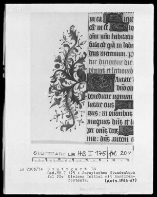 Liber horarum — Kleine Initiale C mit Bordürenfortsatz, Folio 20verso