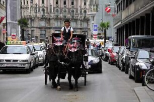 Wien - Kutscherin : Eine Fiaker-Kutscherin fährt durch den dichten Verkehr in der Wiener City, 2008