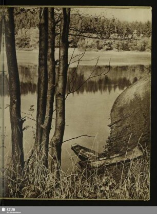 Am Kunstteich (Südharz)