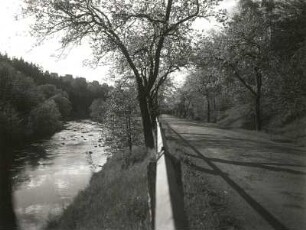 Gottleubatal. Talstraße zwischen Langenhennersdorf und Pirna-Neundorf. Blick über die Gottleuba abwärts auf Cotta-Kleincotta