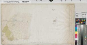 Minden (Fürstentum) - Diepholz (Grafschaft) Grenze beim Stemweder Moor Plan wie nach Kurhannoverscher Behauptung der 12. Grenzstein zwischen Minden und Diepholz gestanden haben soll um 1780 1000 calenberger Ruten = 21,6 cm 40 x 74 kol. Zeichnung du Plat, Ing.Cap. KS Minden B Nr. 30