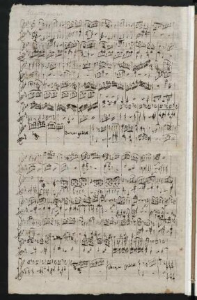 Allegretto grazioso